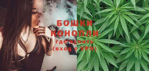 мяу мяу мука Абаза