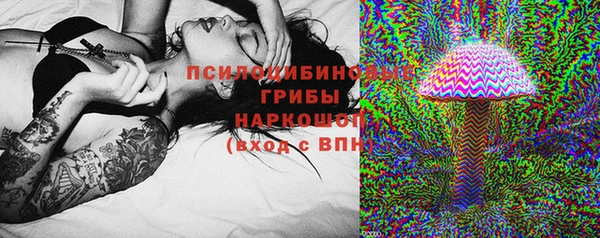 мяу мяу мука Абаза
