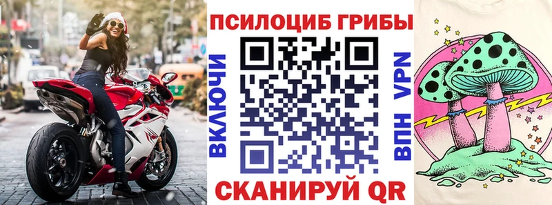 продажа наркотиков  Балашиха  Псилоцибиновые грибы прущие грибы 